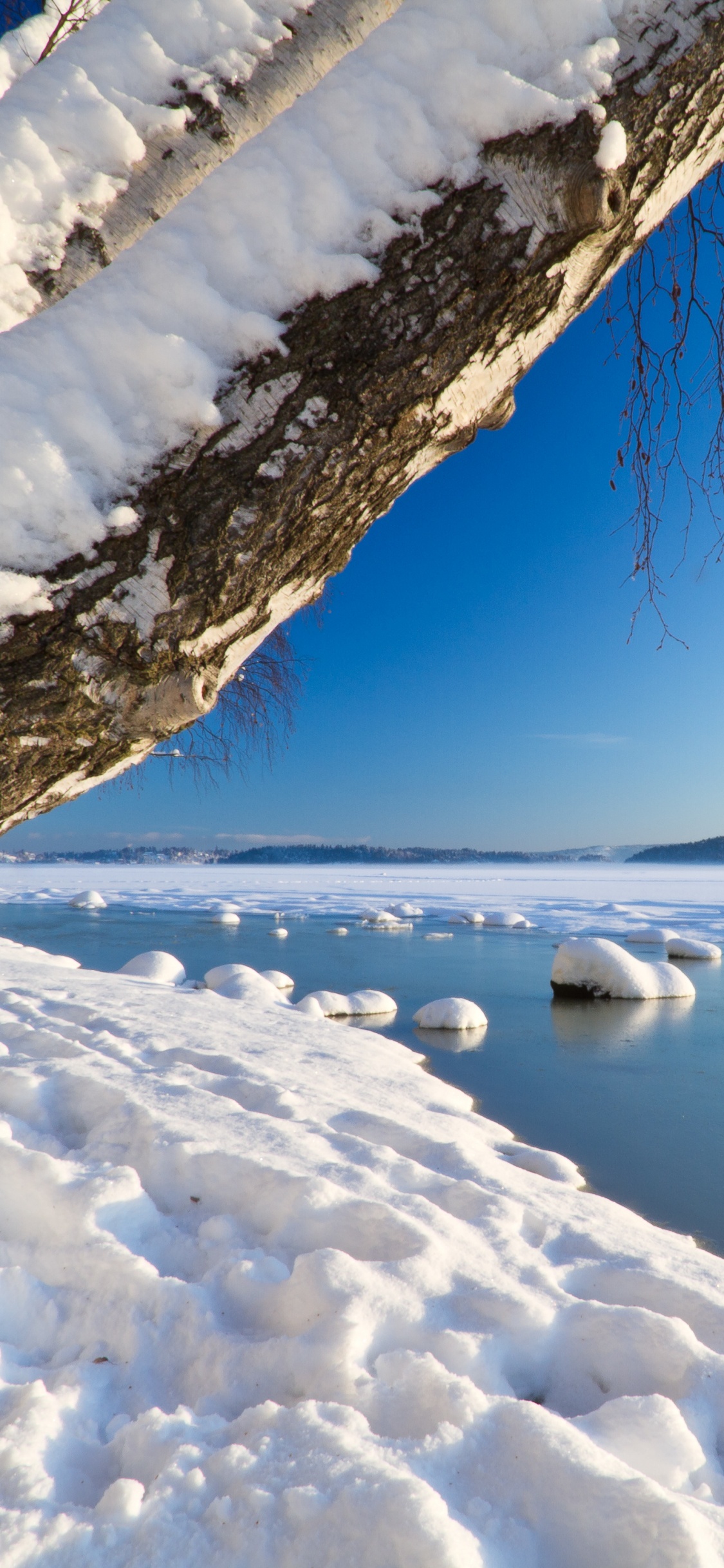 Обои зима, снег, природа, замораживание, лед в разрешении 1125x2436