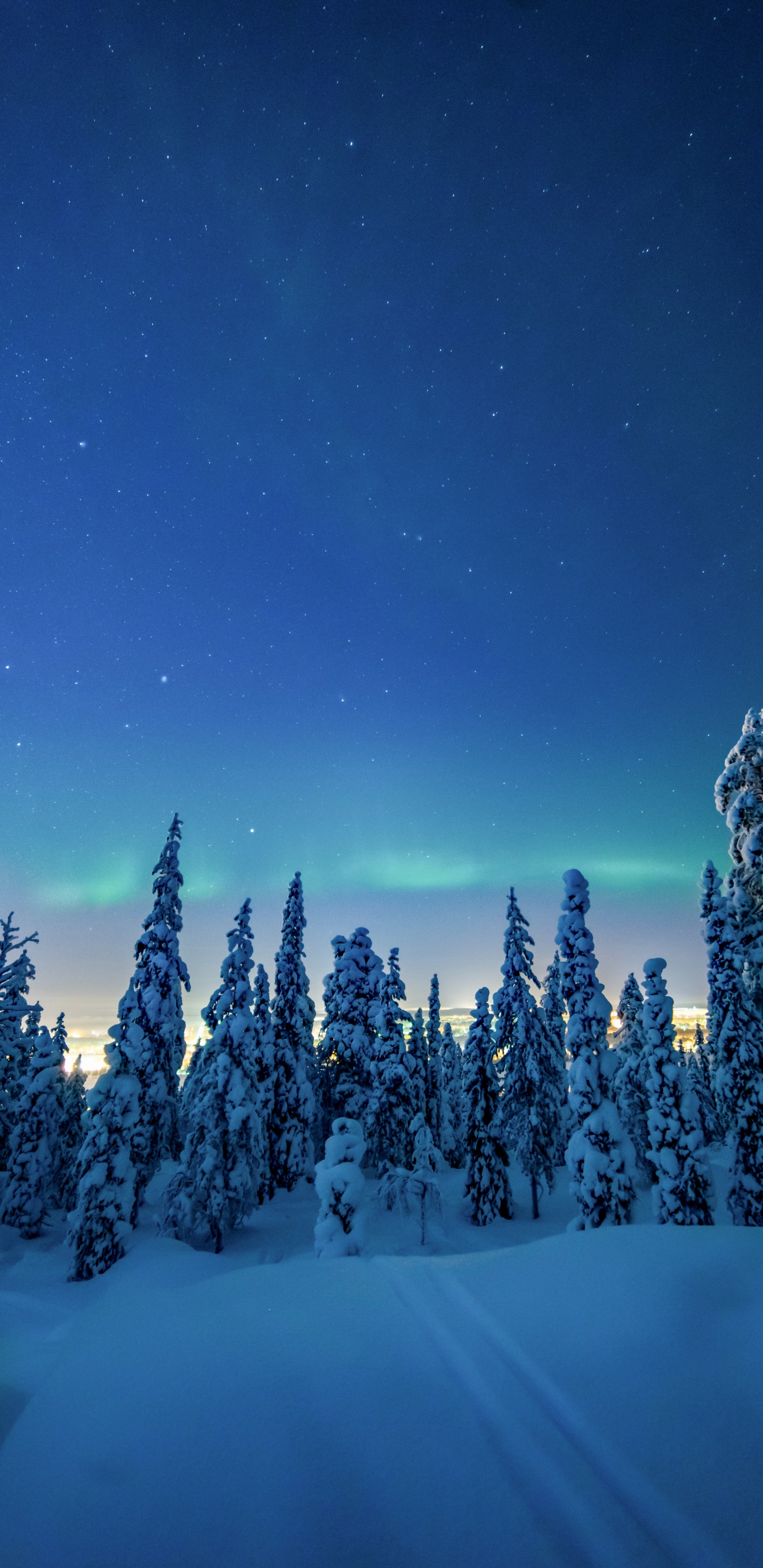 Обои ночь, зима, снег, природа, дерево в разрешении 1440x2960