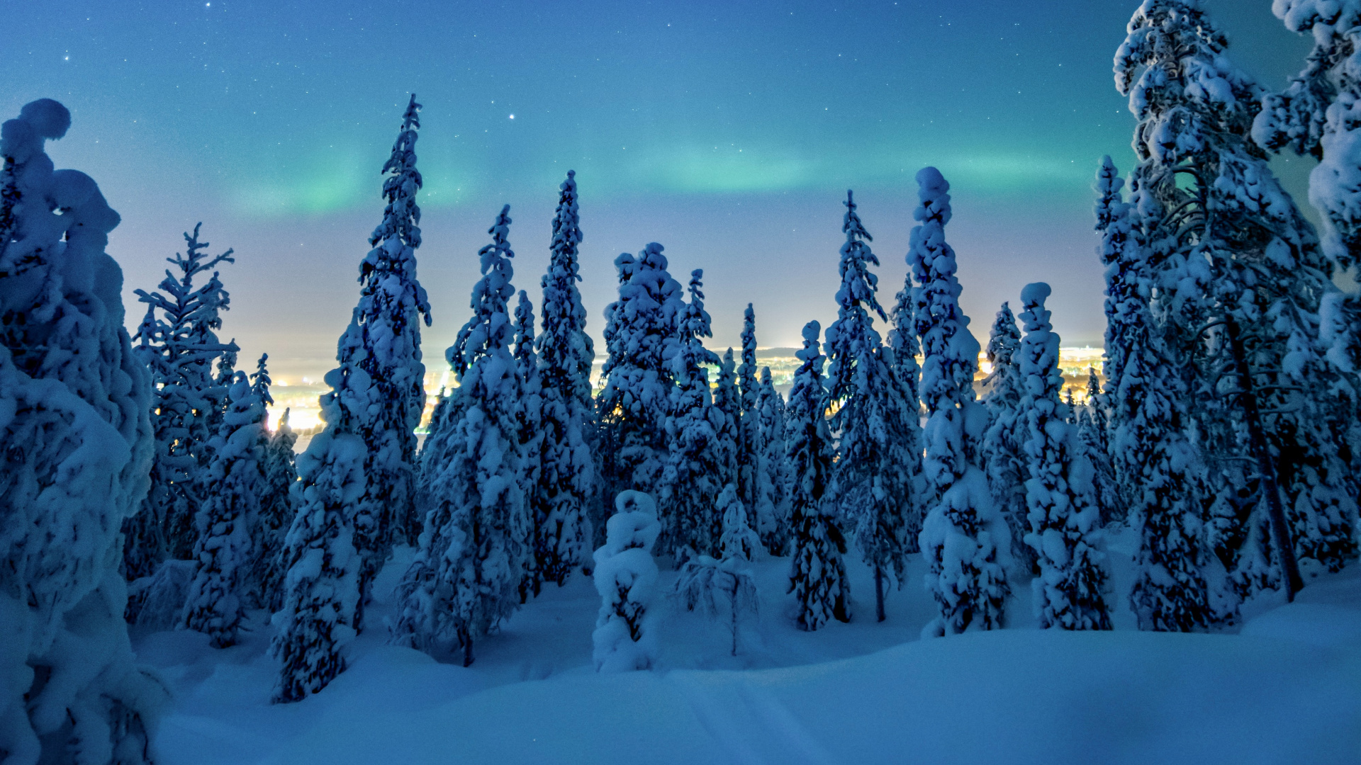 Обои ночь, зима, снег, природа, дерево в разрешении 1920x1080