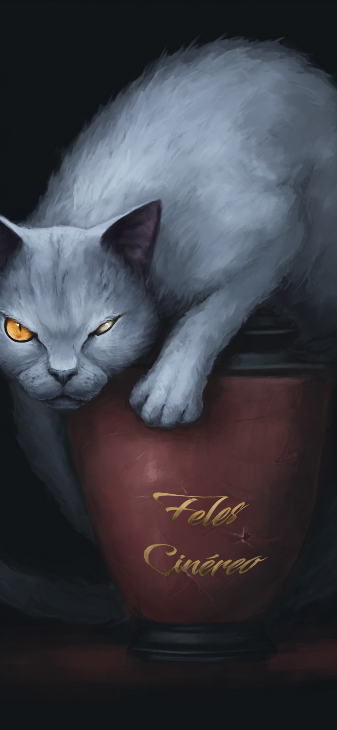 Обои кот, бакенбарды, кошачьих, темнота, бурмилла в разрешении 1125x2436