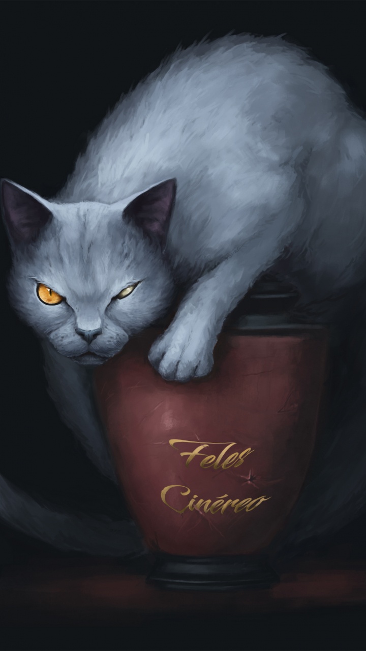 Обои кот, бакенбарды, кошачьих, темнота, бурмилла в разрешении 720x1280