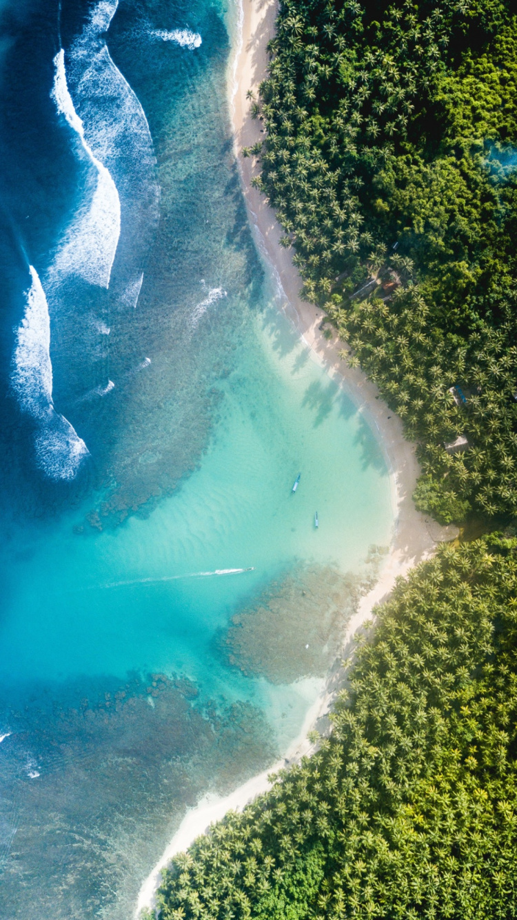 Обои Сверхширокий форматы, вода, гидроресурсы, экорегион, зеленый в разрешении 750x1334