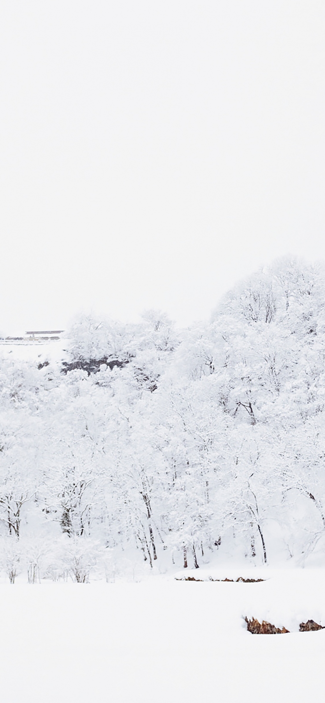 Обои снег, зима, здание, Хаус, растение в разрешении 1125x2436