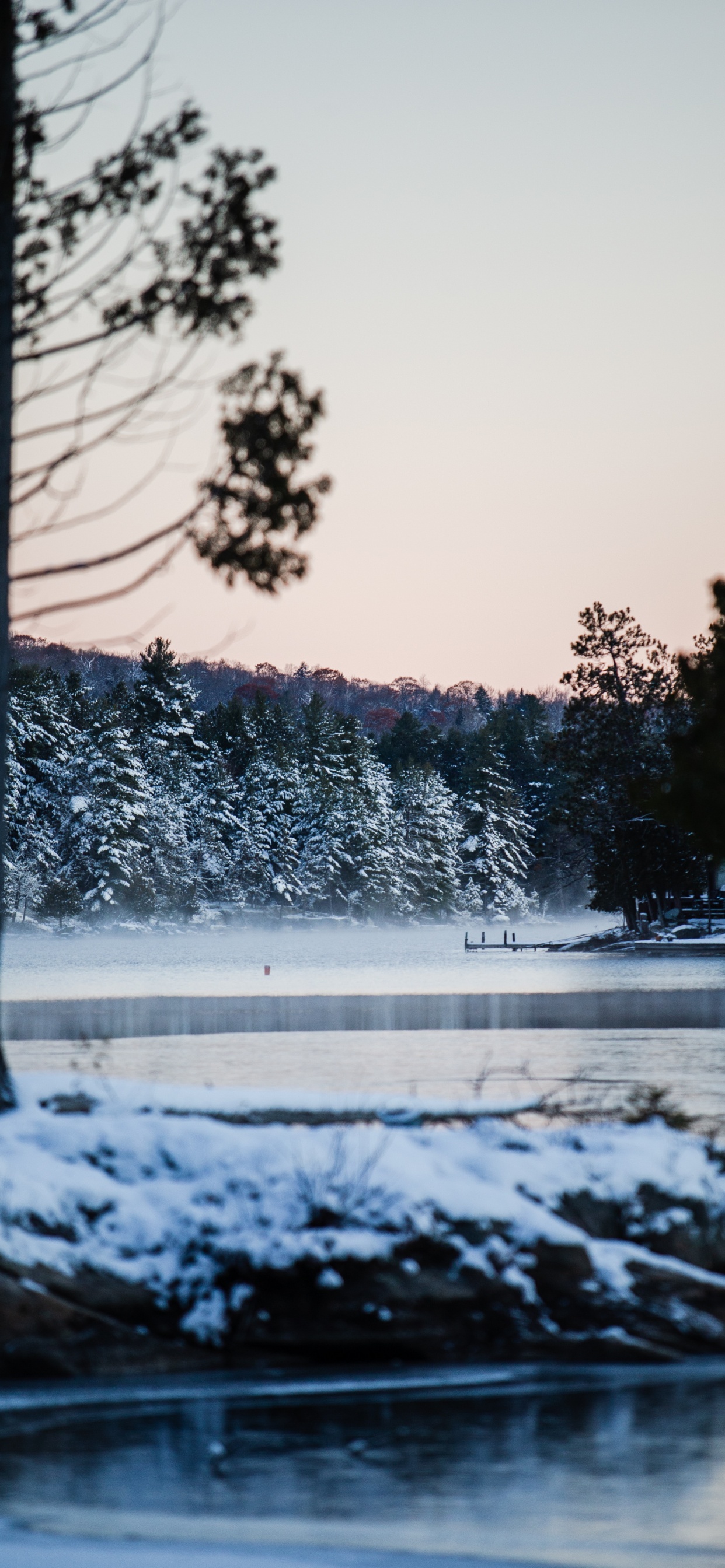 Обои зима, снег, природа, вода, дерево в разрешении 1242x2688