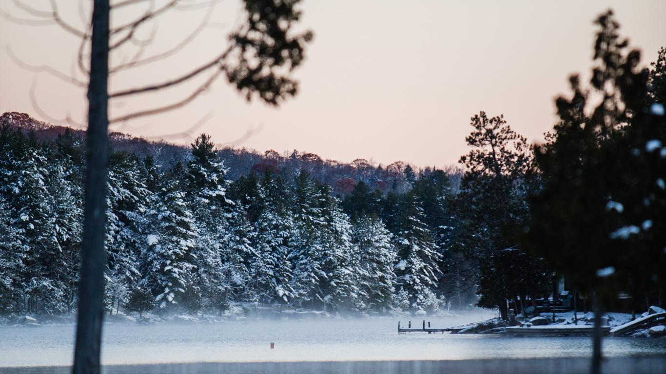 Обои зима, снег, природа, вода, дерево в разрешении 1366x768