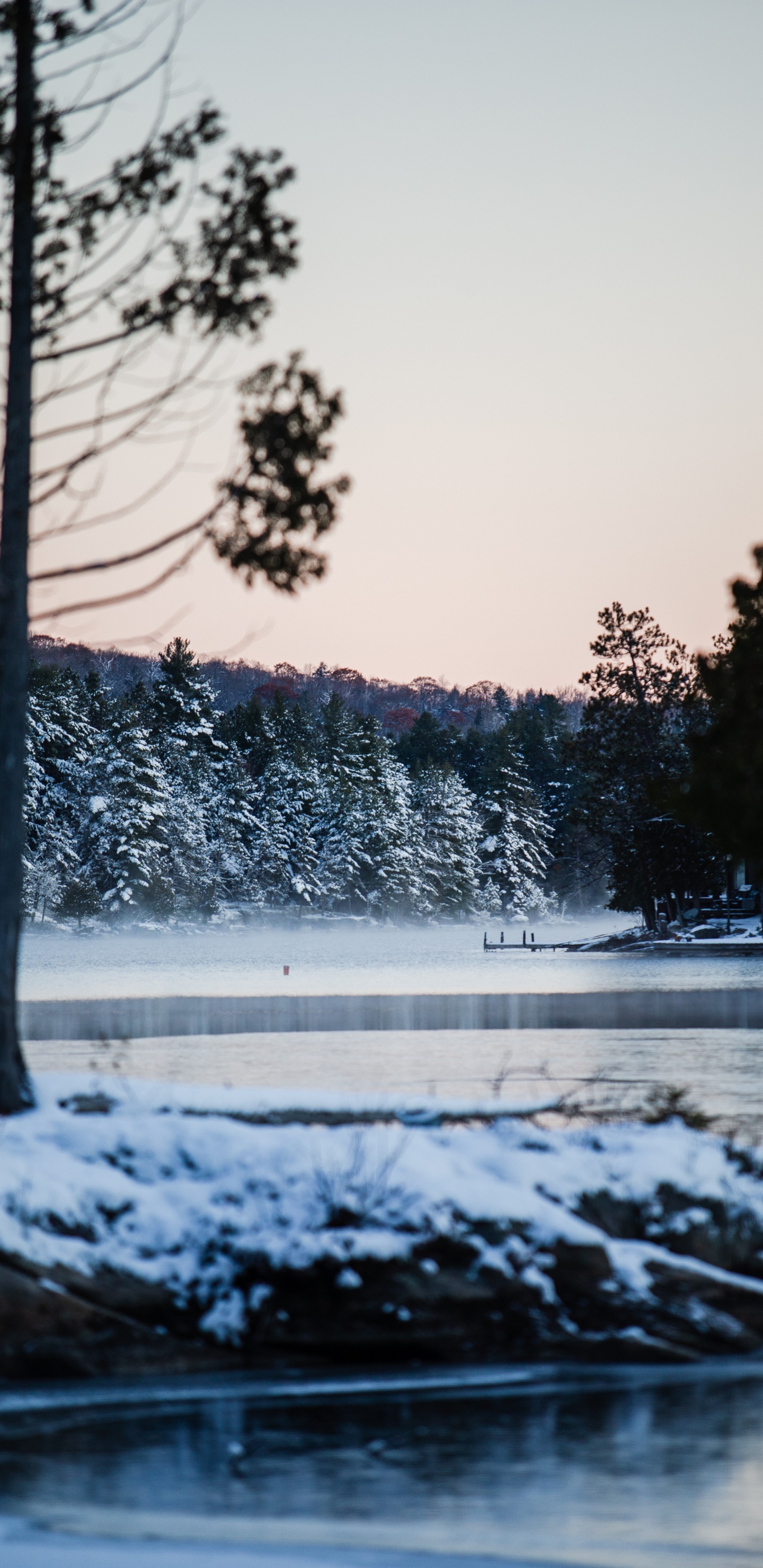 Обои зима, снег, природа, вода, дерево в разрешении 1440x2960