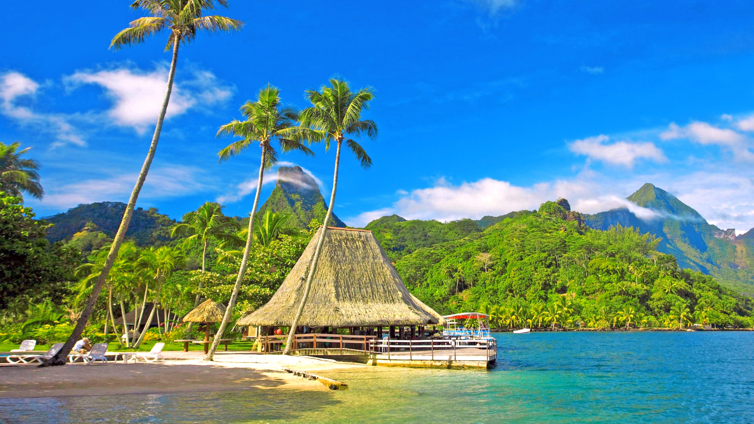 Обои Таити, Остров, пляж, тропическая зона, природа в разрешении 2560x1440