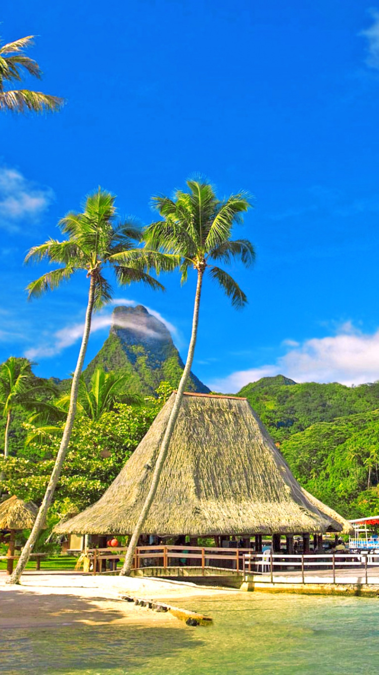 Обои Таити, Остров, пляж, тропическая зона, природа в разрешении 750x1334