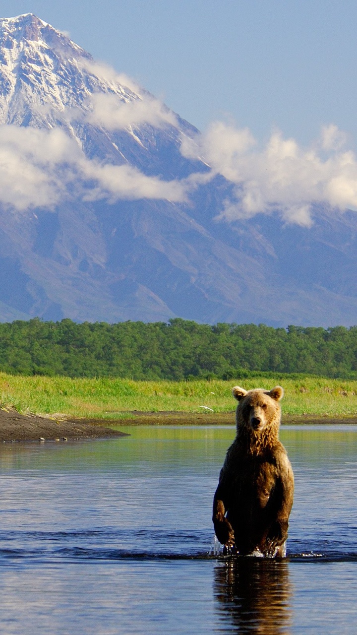Обои природный заповедник, природа, гора, дикая местность, реки в разрешении 720x1280