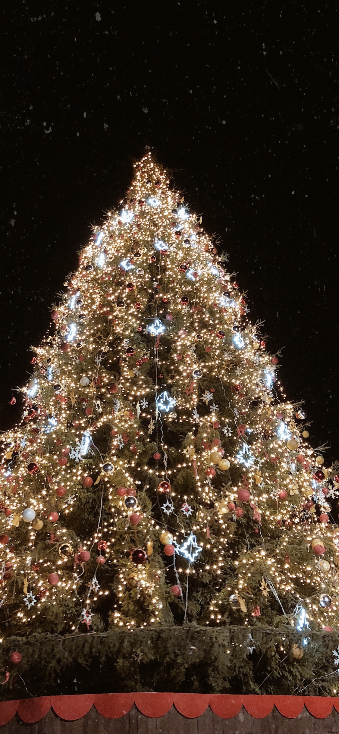 Обои елка, Рождественский день, ель, Рождественские огни, Рождественские украшения в разрешении 1125x2436