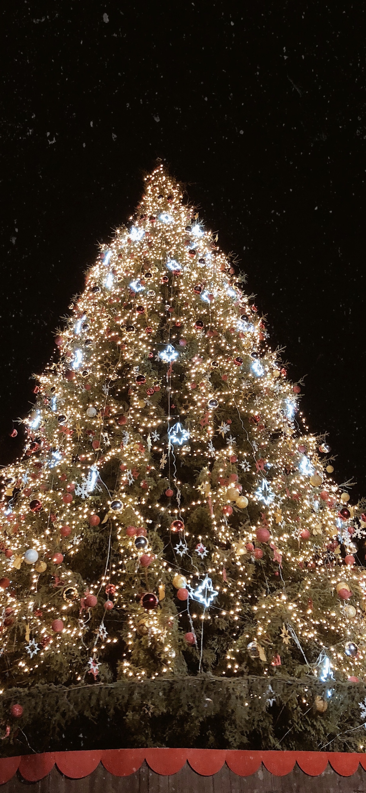 Обои елка, Рождественский день, ель, Рождественские огни, Рождественские украшения в разрешении 1242x2688