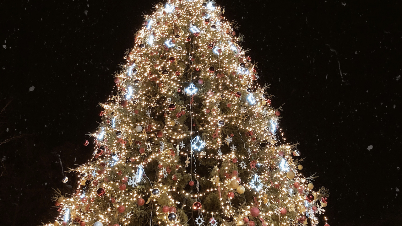 Обои елка, Рождественский день, ель, Рождественские огни, Рождественские украшения в разрешении 1280x720