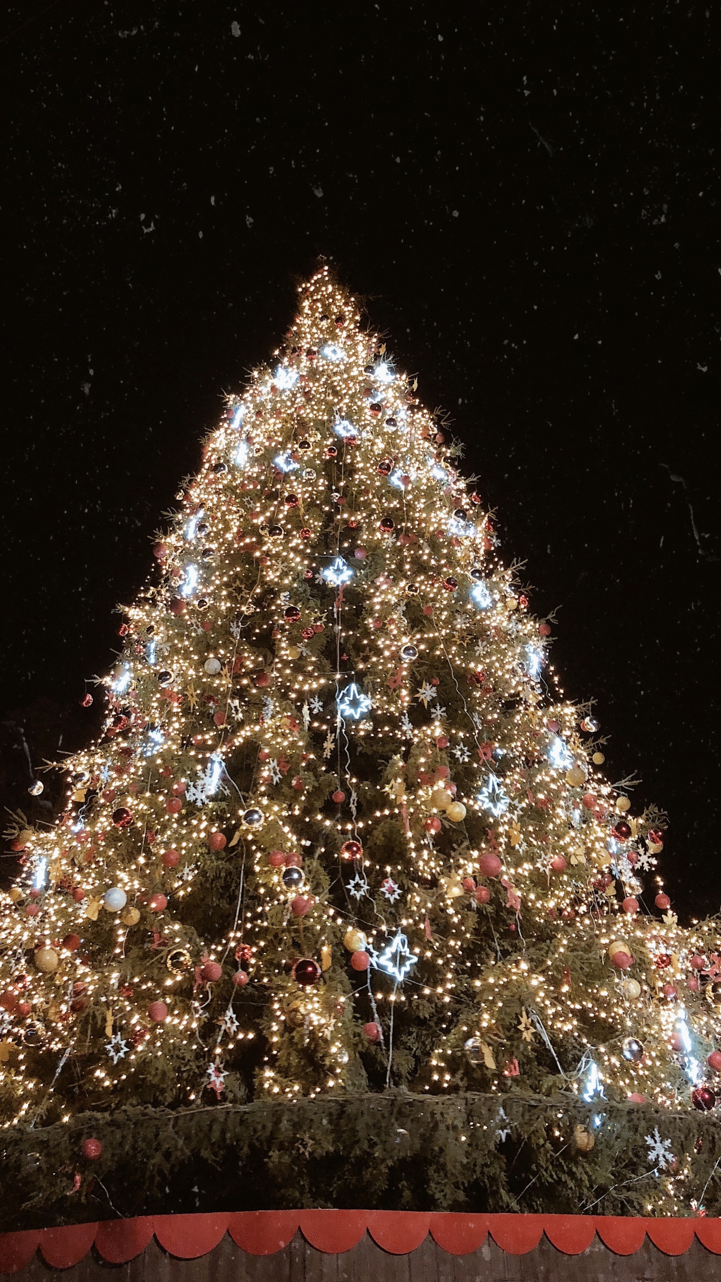 Обои елка, Рождественский день, ель, Рождественские огни, Рождественские украшения в разрешении 1440x2560