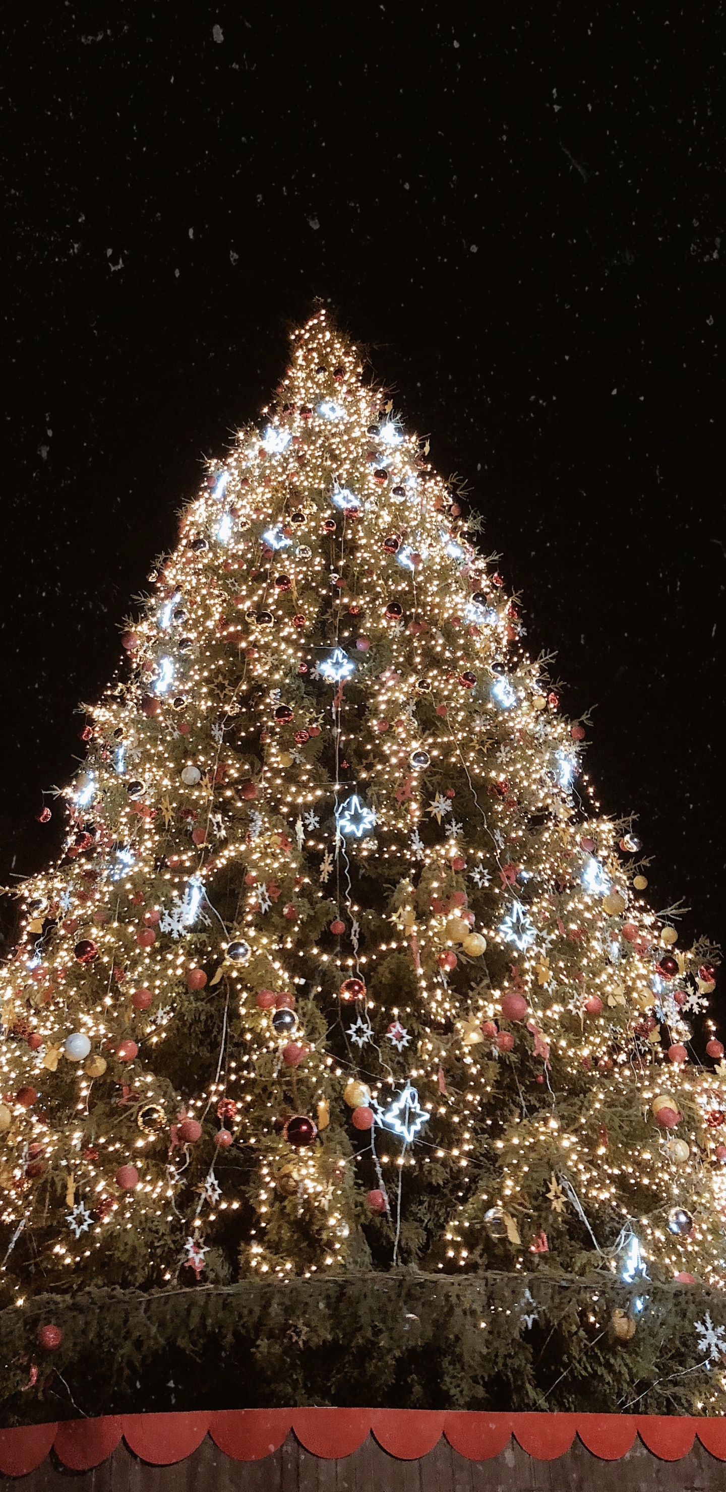 Обои елка, Рождественский день, ель, Рождественские огни, Рождественские украшения в разрешении 1440x2960