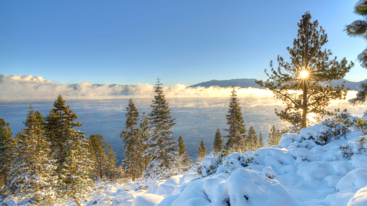 Обои озеро Тахо, Южное Озеро Тахо, снег, зима, дерево в разрешении 1280x720
