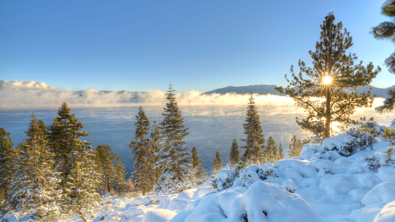 Обои озеро Тахо, Южное Озеро Тахо, снег, зима, дерево в разрешении 1366x768