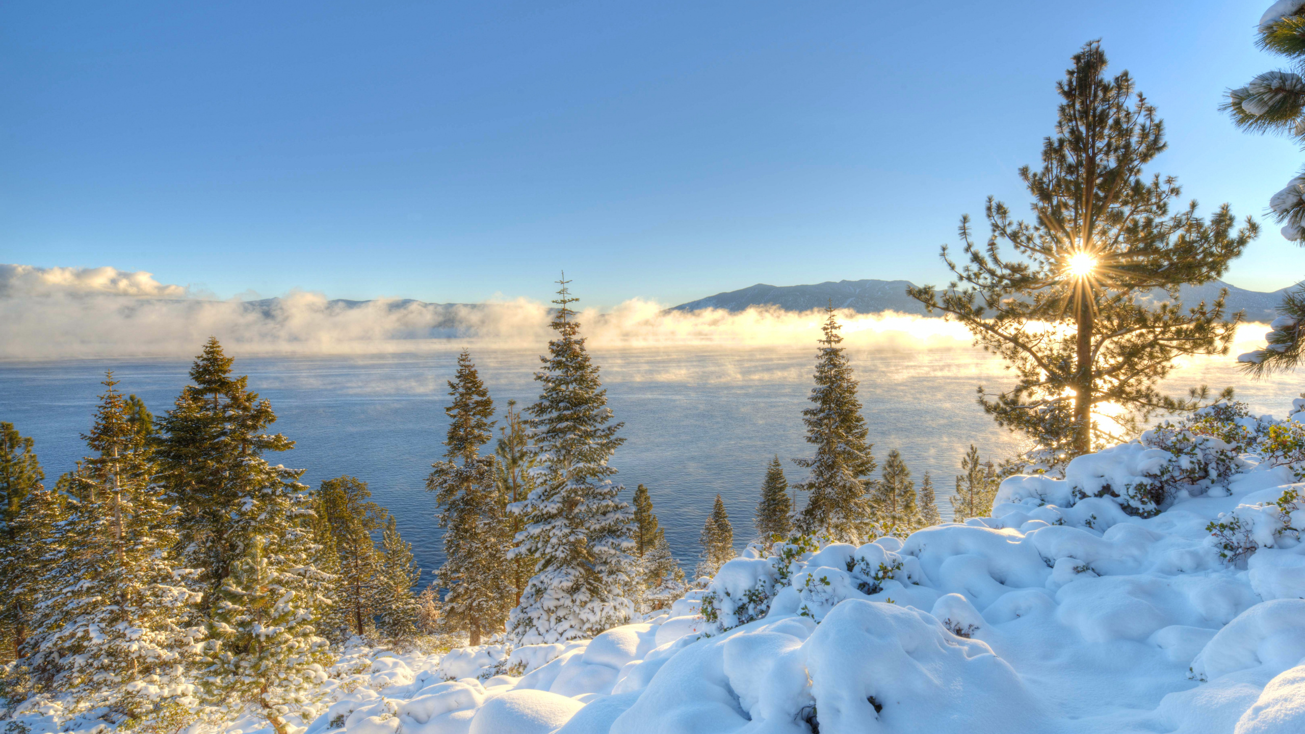 Обои озеро Тахо, Южное Озеро Тахо, снег, зима, дерево в разрешении 2560x1440