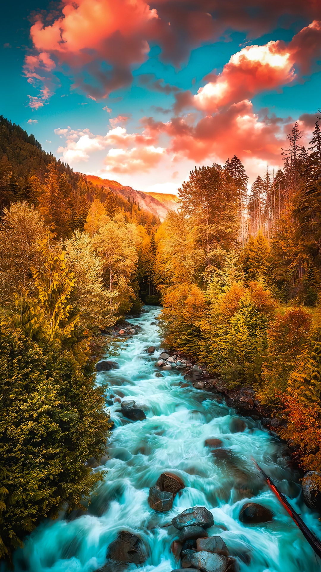 Обои лиственница, облако, вода, синий, природный ландшафт в разрешении 1080x1920