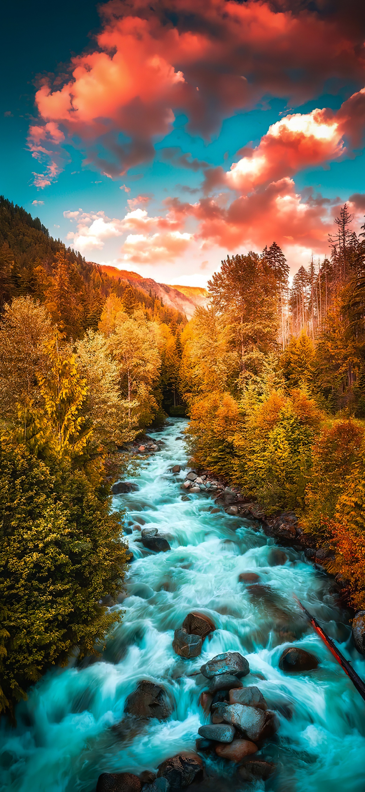 Обои лиственница, облако, вода, синий, природный ландшафт в разрешении 1242x2688