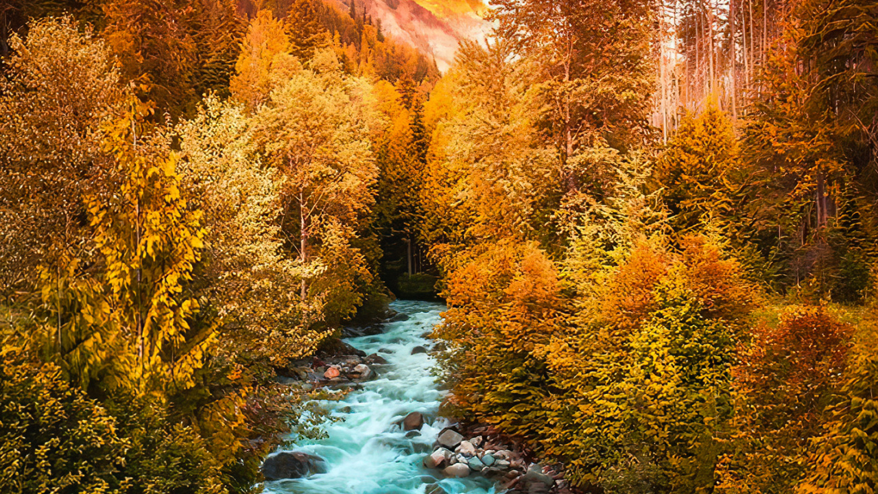 Обои лиственница, облако, вода, синий, природный ландшафт в разрешении 1280x720