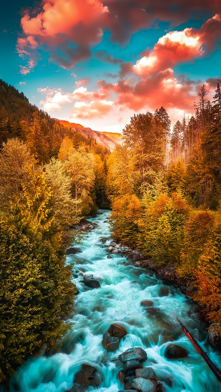 Обои лиственница, облако, вода, синий, природный ландшафт в разрешении 720x1280