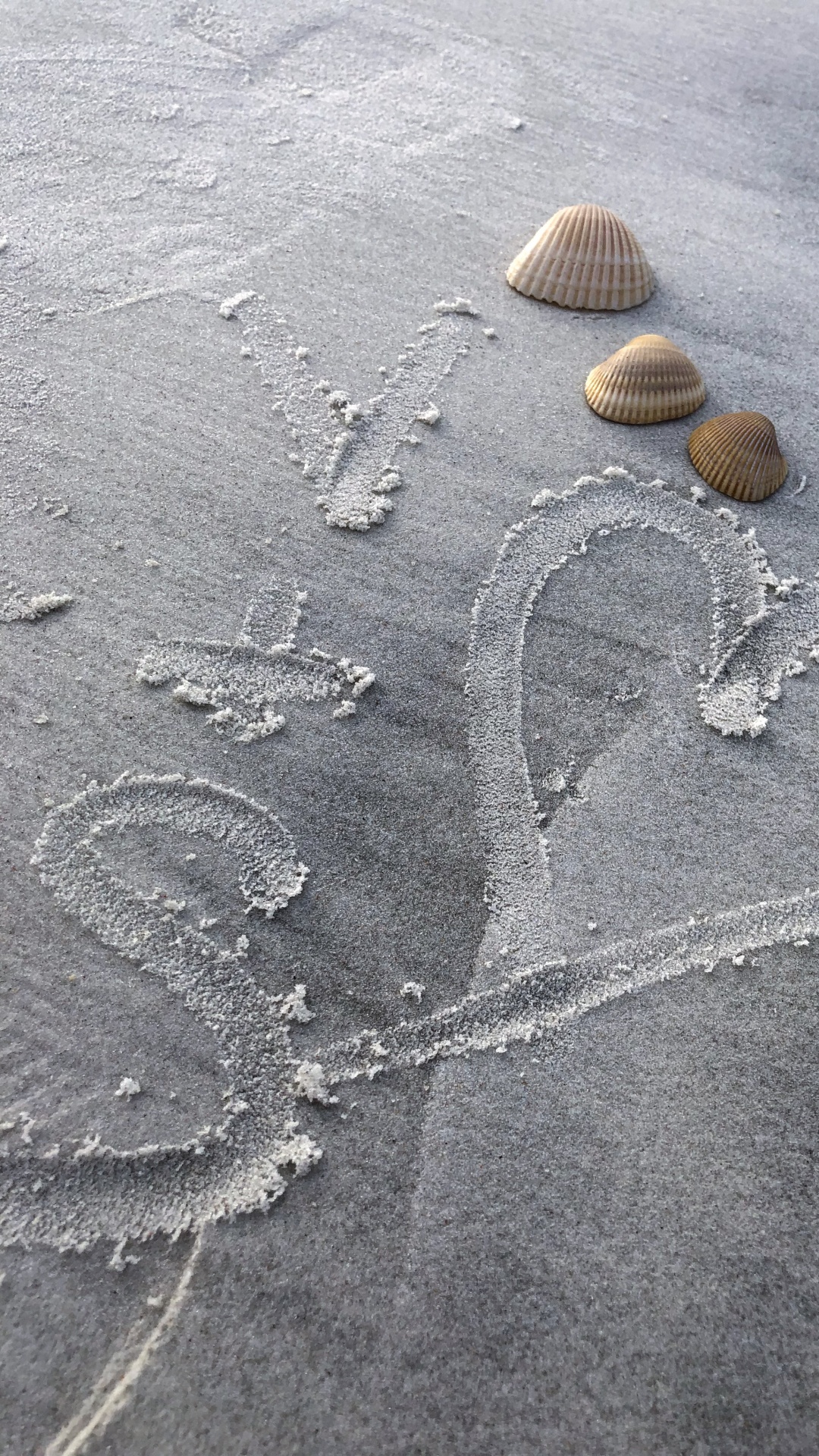 Обои песок, вода, серый цвет, пляж, смола в разрешении 1080x1920