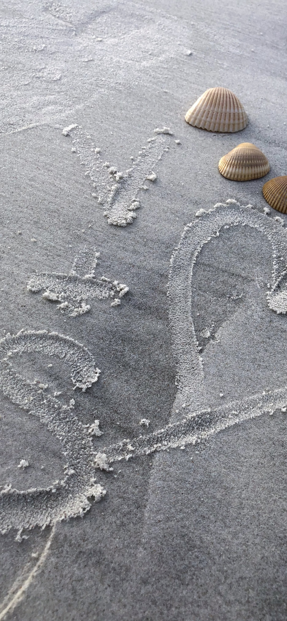 Обои песок, вода, серый цвет, пляж, смола в разрешении 1125x2436