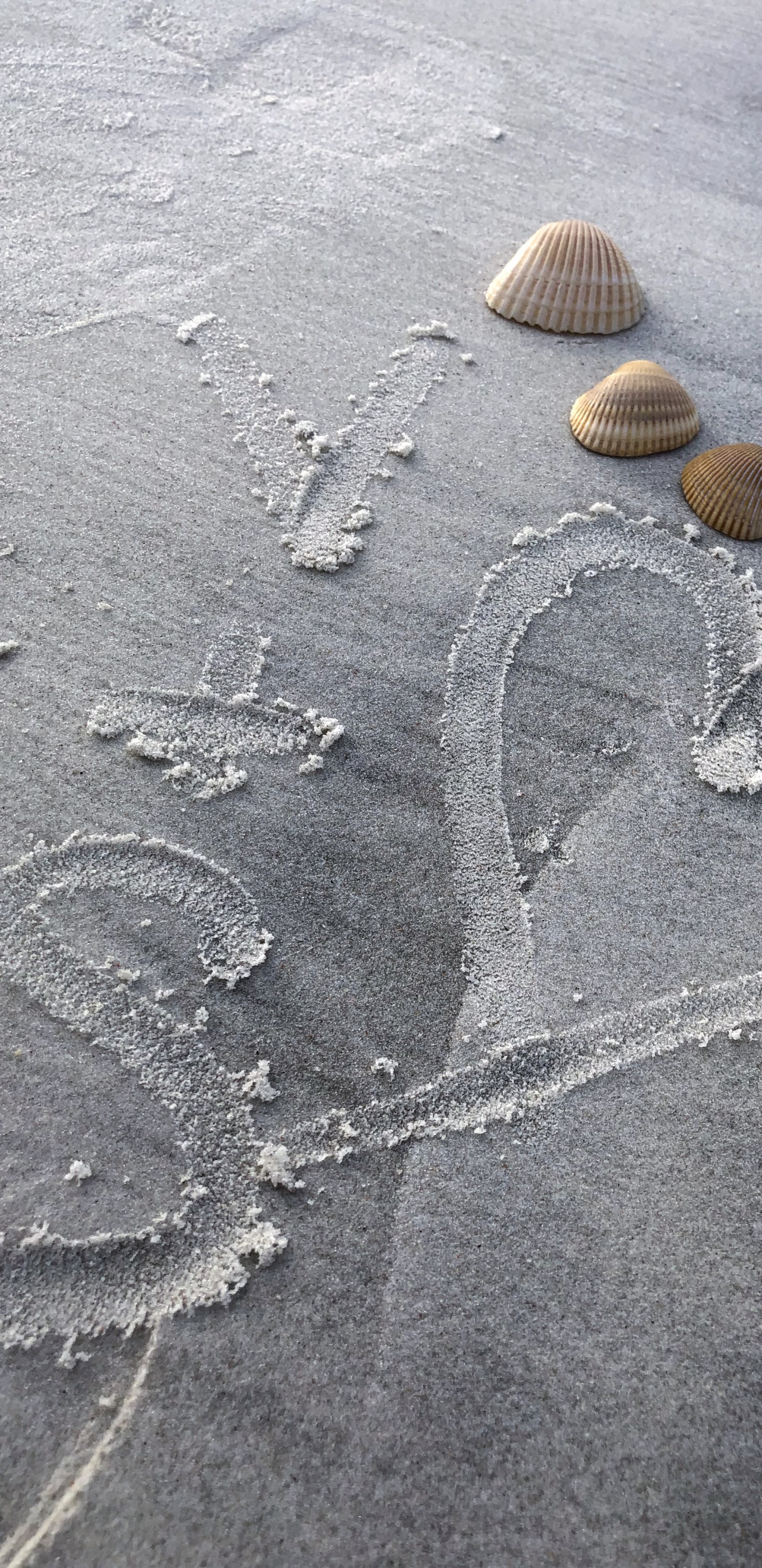 Обои песок, вода, серый цвет, пляж, смола в разрешении 1440x2960