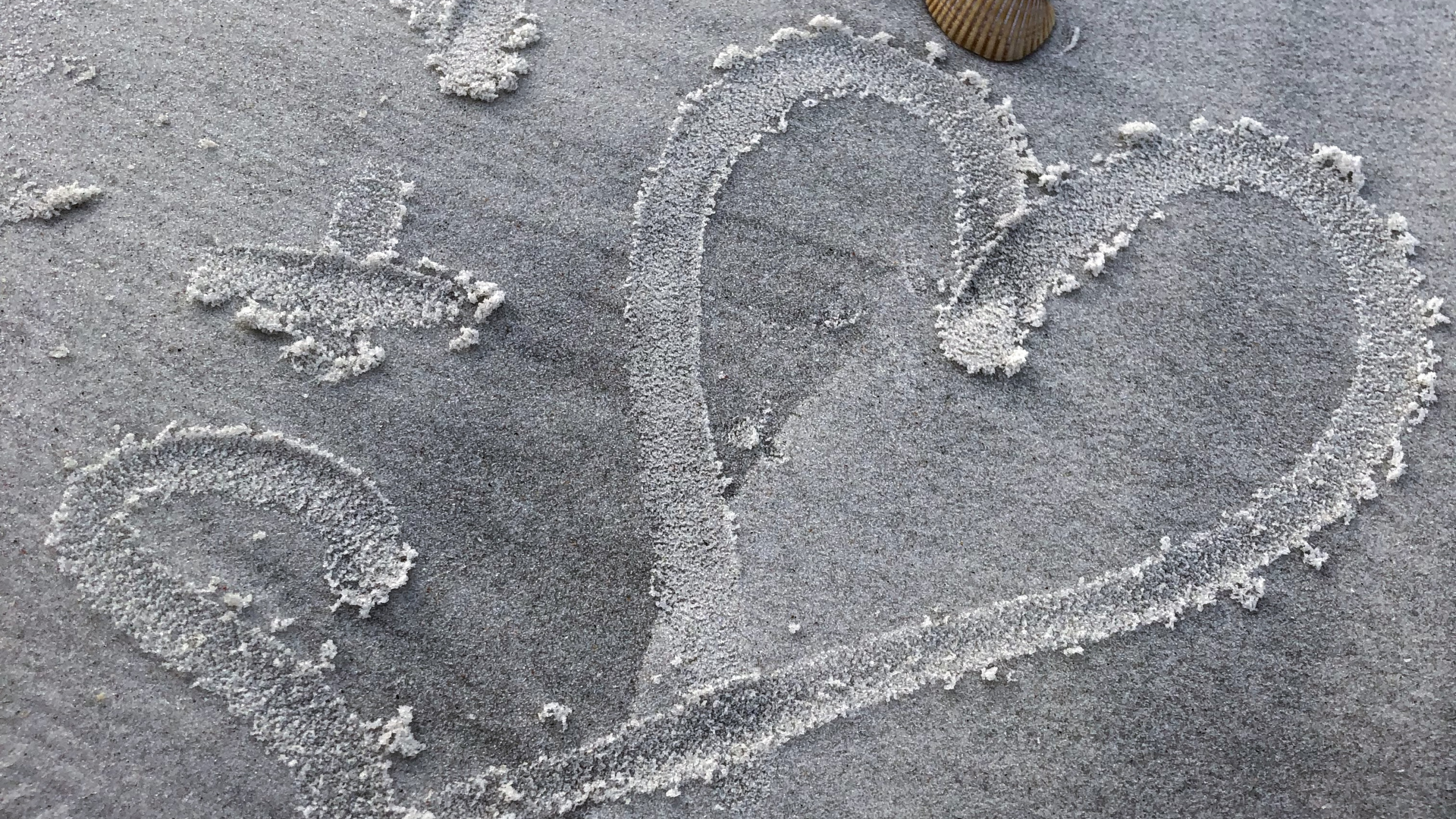 Обои песок, вода, серый цвет, пляж, смола в разрешении 2560x1440