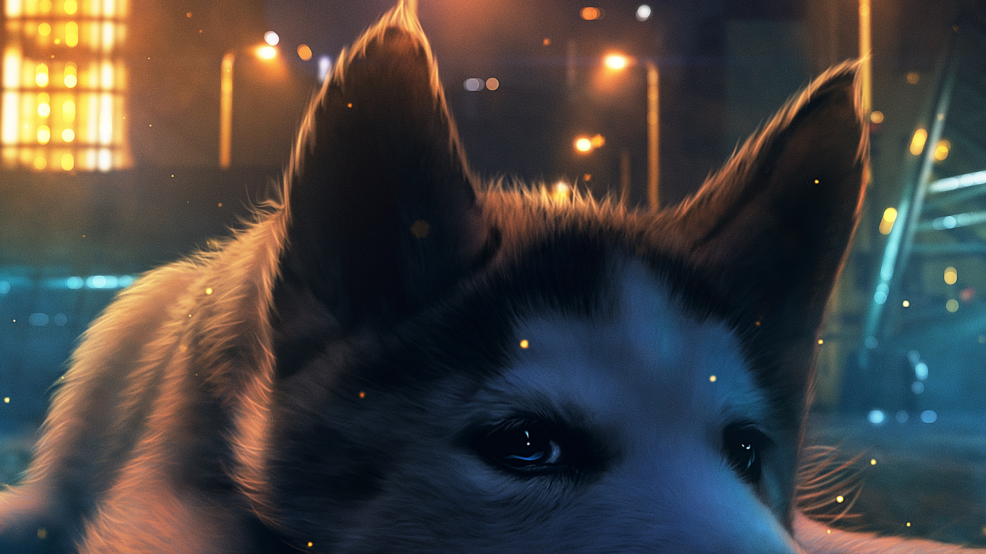 Обои ночь, датский дог, атмосфера, свет, собака породы в разрешении 1920x1080