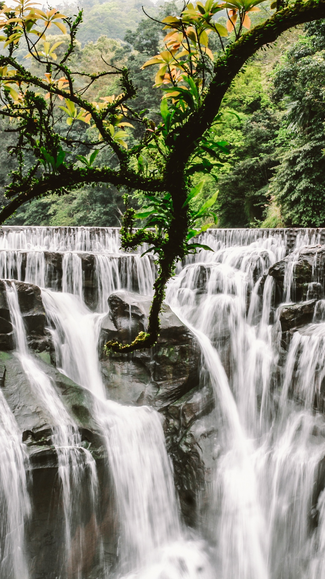 Обои Водопад Шифэн, водопад, гидроресурсы, водоем, природа в разрешении 1080x1920