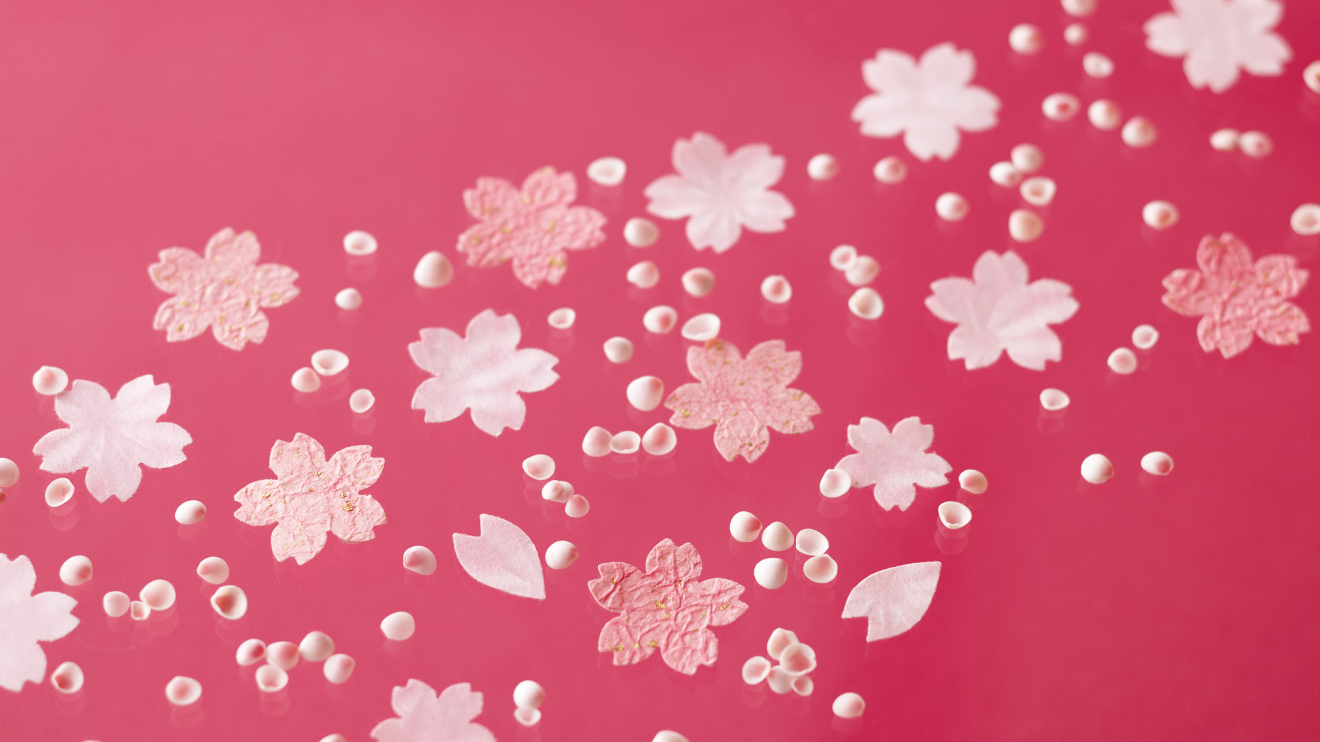 Обои розовый, узор, пурпурный цвет, лепесток, цветок в разрешении 1920x1080