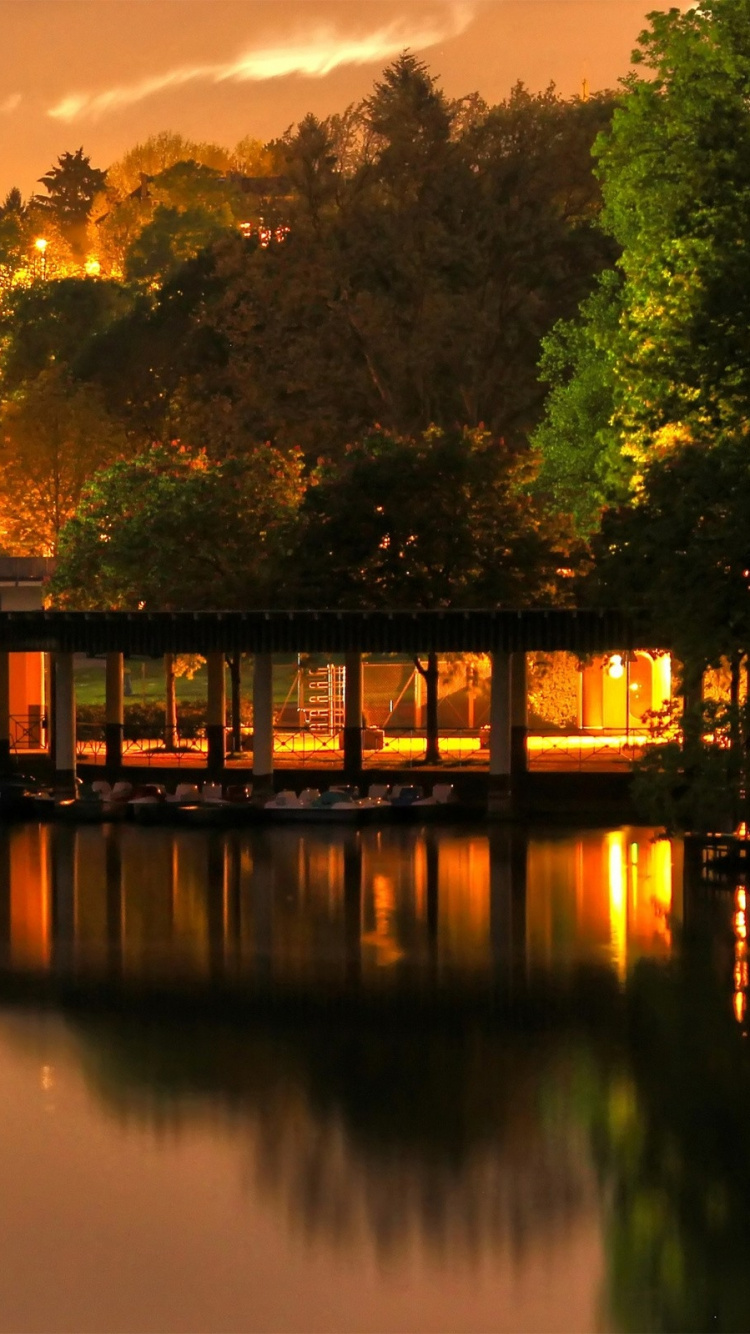 Обои природа, отражение, вода, дерево, вечер в разрешении 750x1334