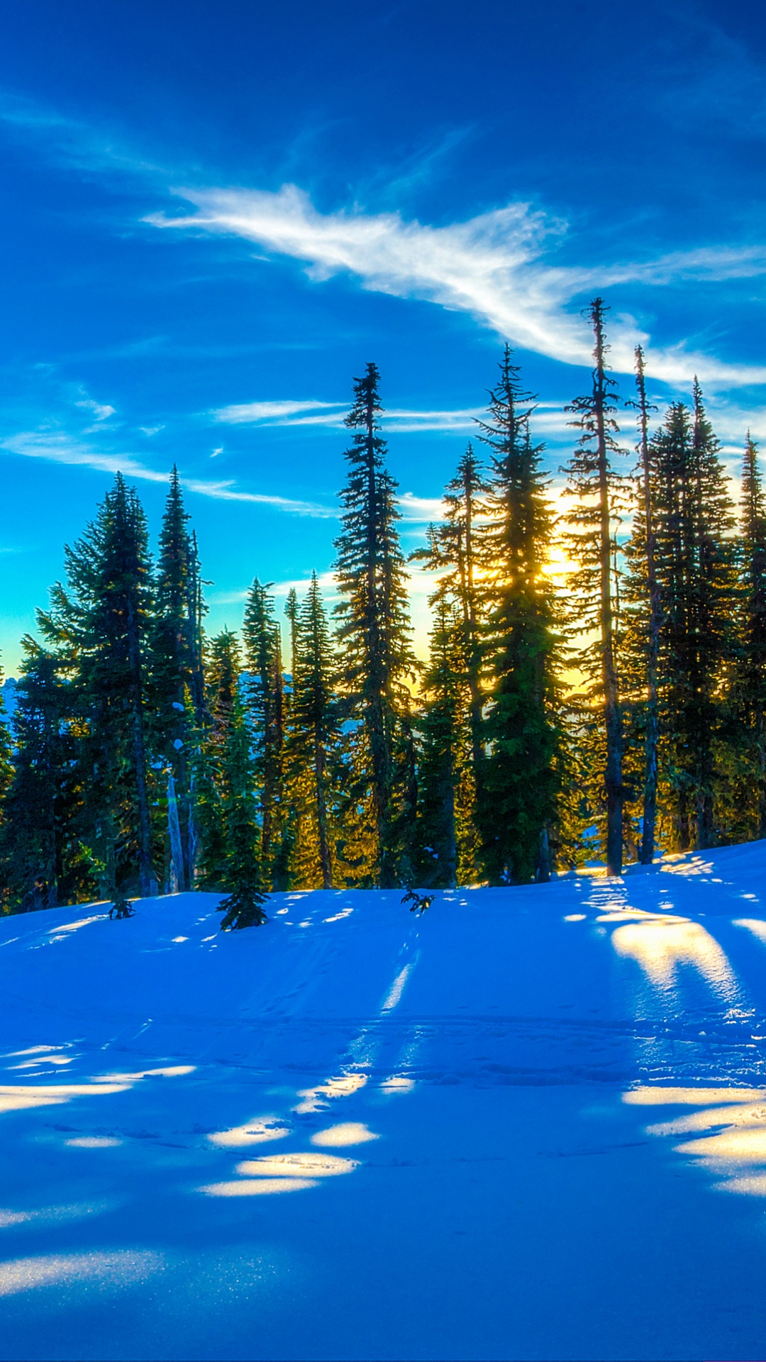 Обои ель, снег, зима, природа, дерево в разрешении 1080x1920