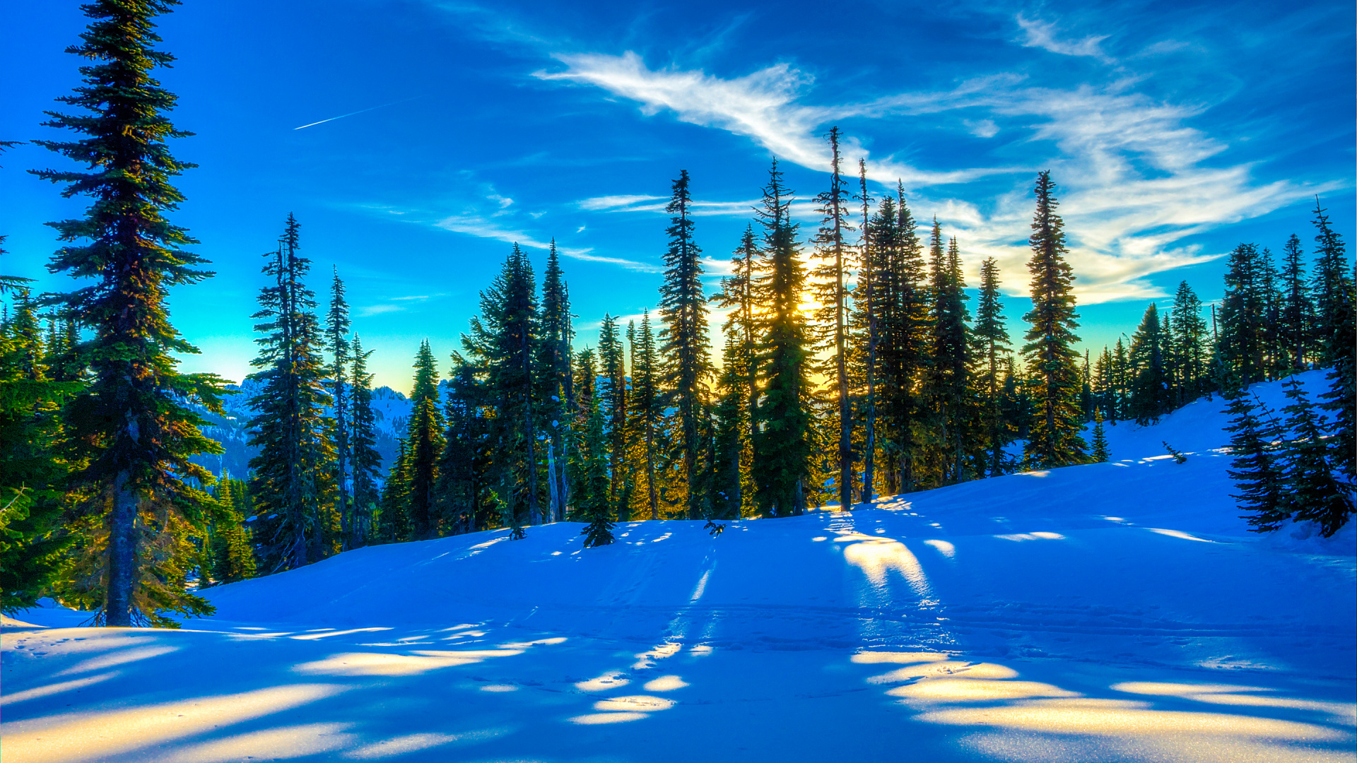 Обои ель, снег, зима, природа, дерево в разрешении 1920x1080