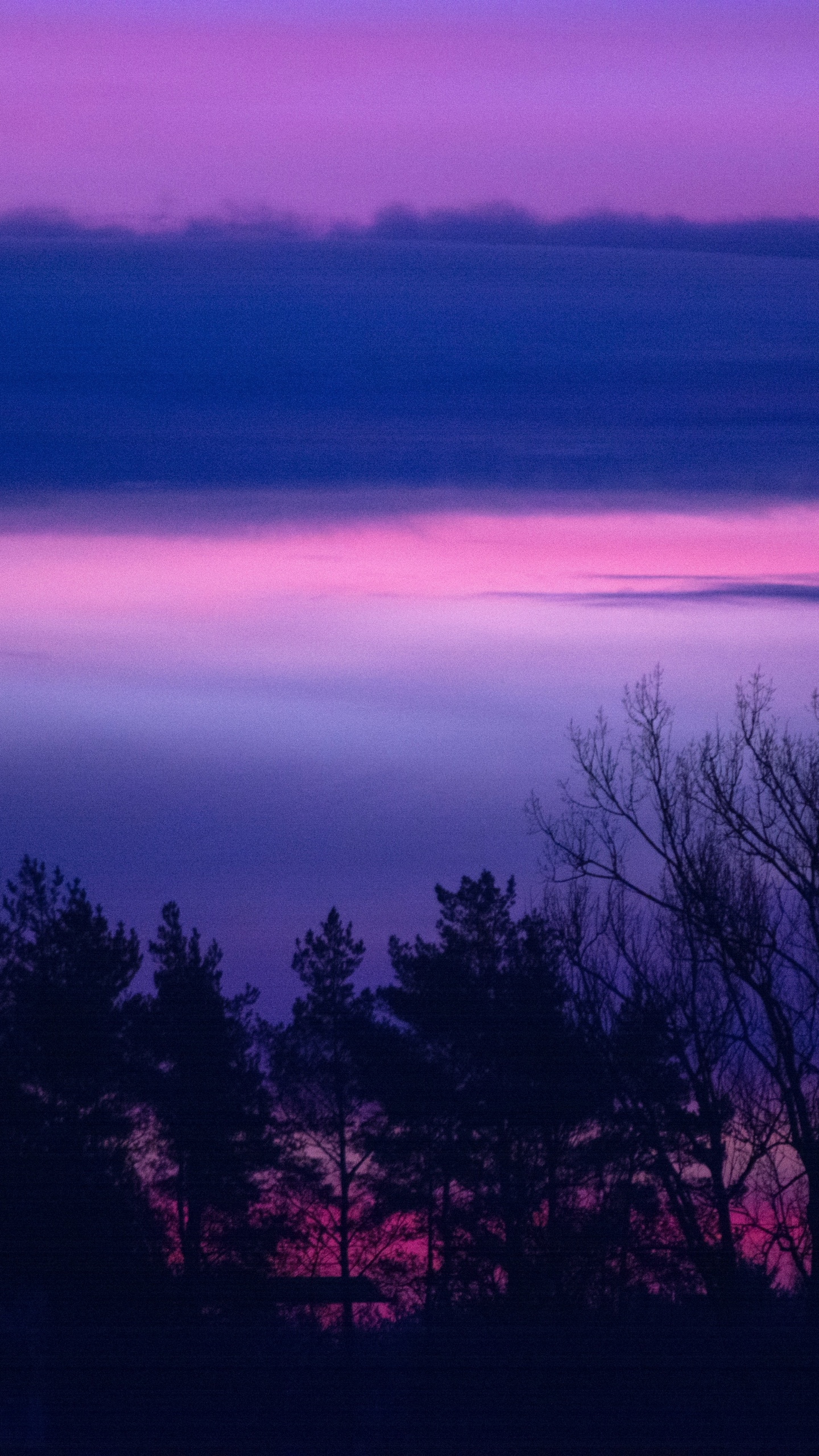 Обои закат, природа, пурпур, горизонт, Фиолетовый в разрешении 1440x2560