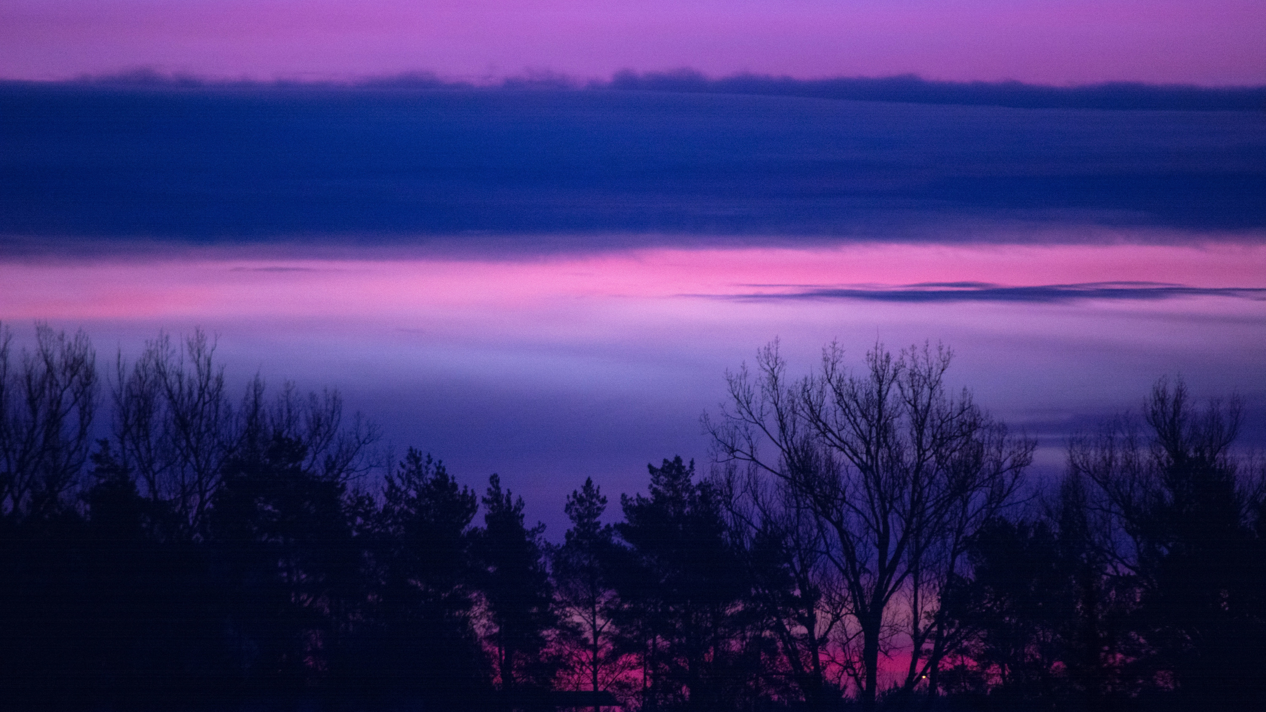 Обои закат, природа, пурпур, горизонт, Фиолетовый в разрешении 2560x1440