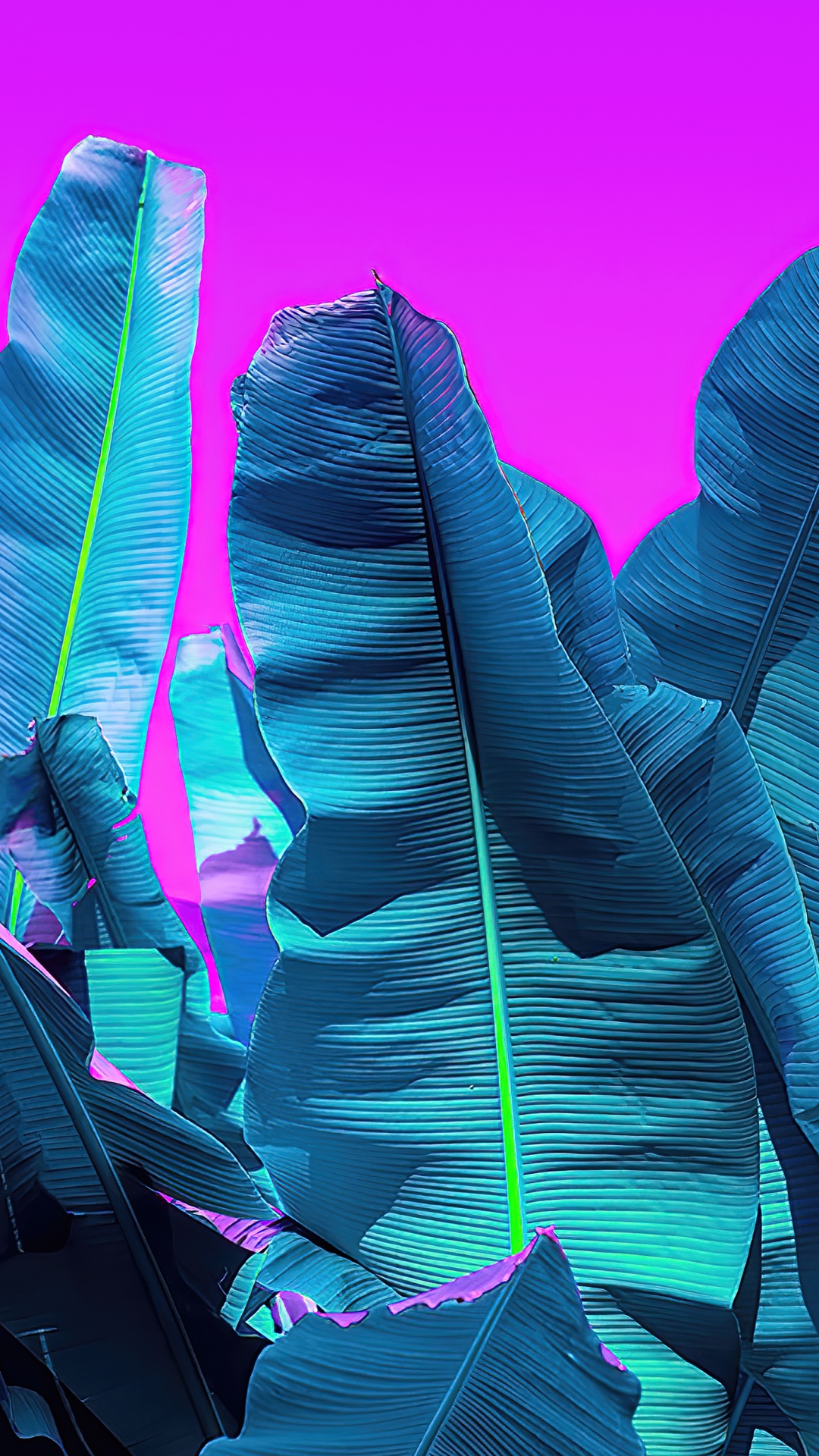 Обои парикмахерская рио, лазурный, пурпур, розовый, Фиолетовый в разрешении 1080x1920