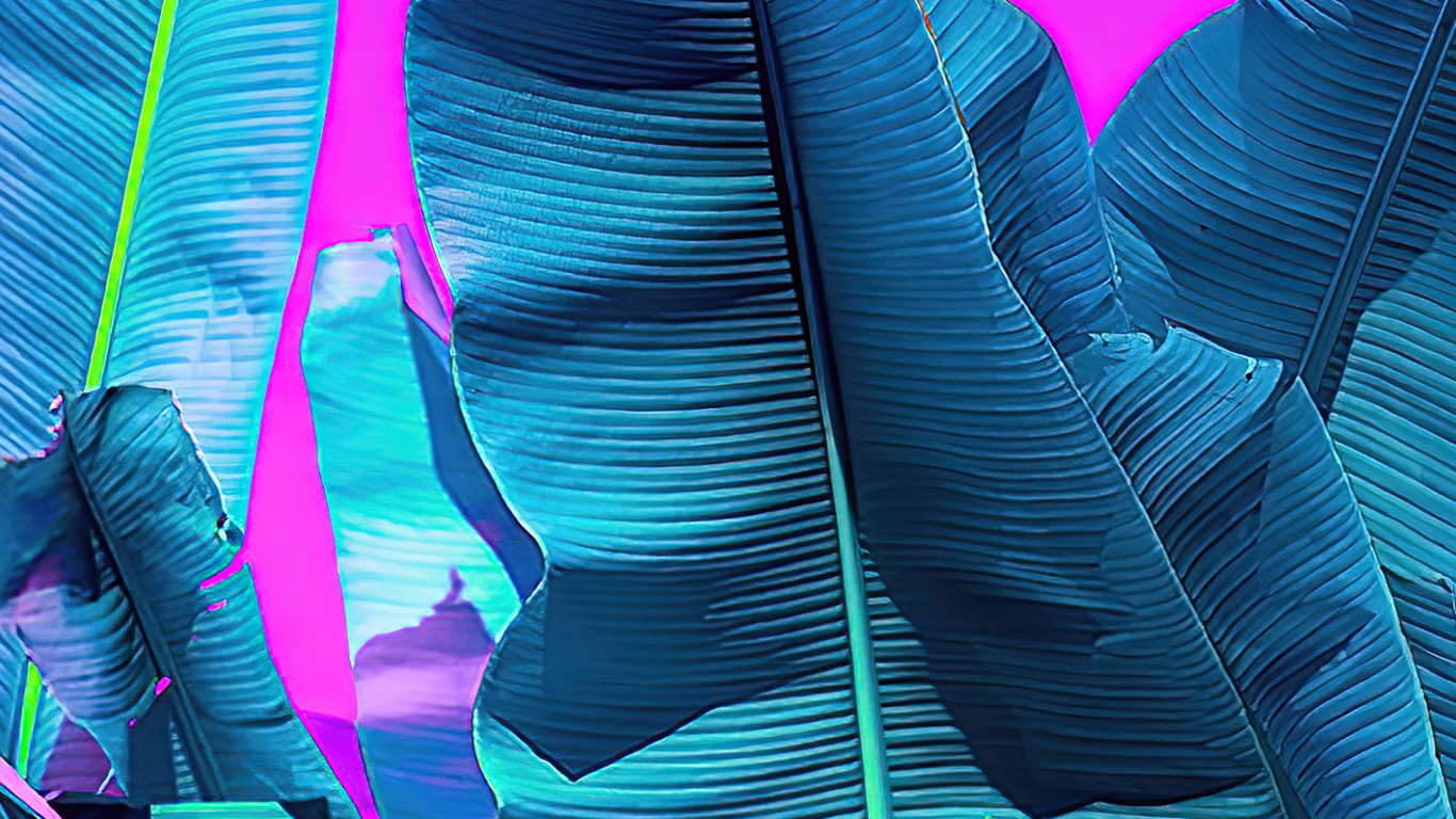 Обои парикмахерская рио, лазурный, пурпур, розовый, Фиолетовый в разрешении 1366x768