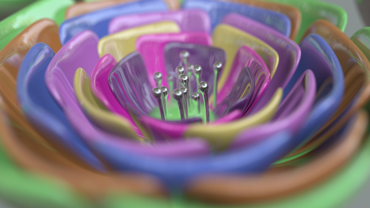 Обои пурпур, Фиолетовый, лепесток, макросъемка, лепестки в разрешении 1280x720