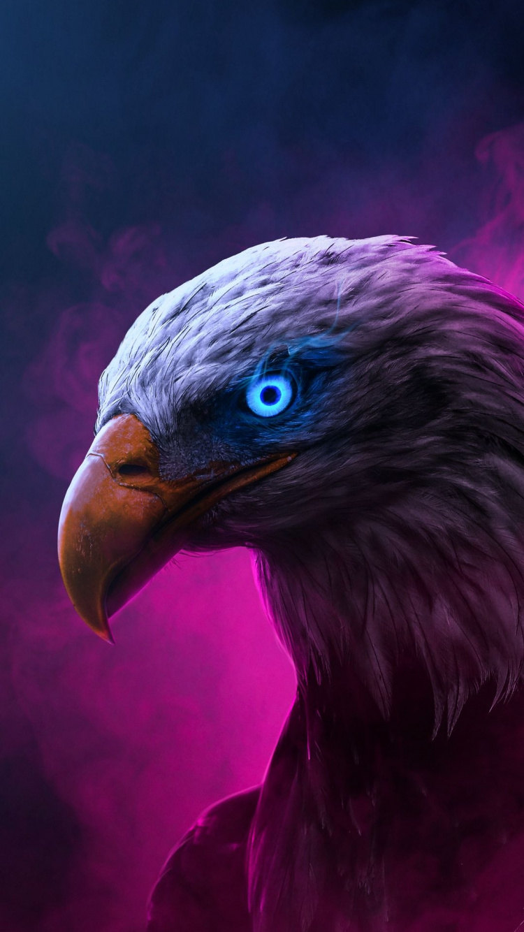 Обои клюв, висгун - социальная сеть, гриф, человек, accipitriformes в разрешении 750x1334