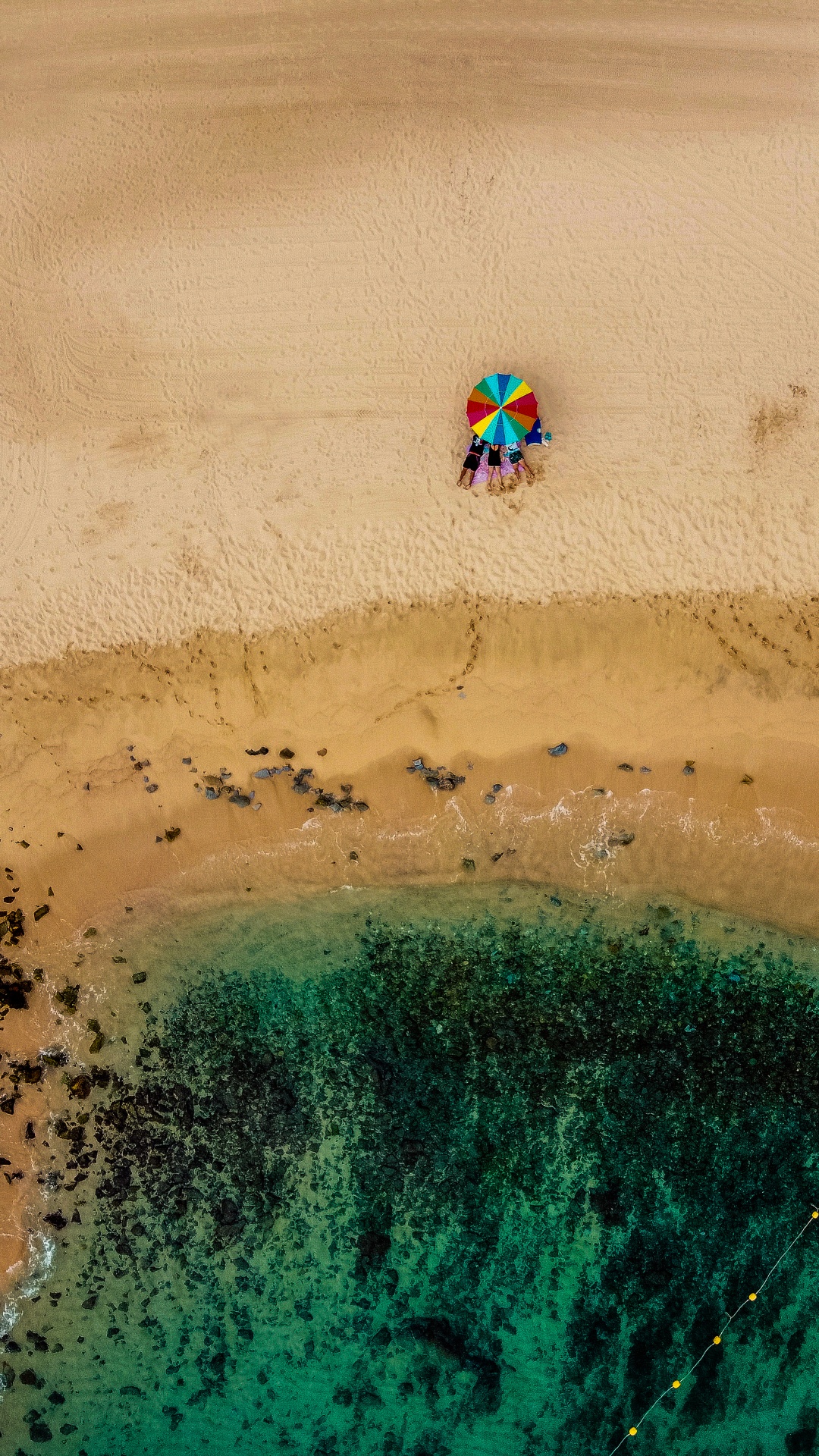 Обои песок, вода, экорегион, пляж, арт в разрешении 1080x1920