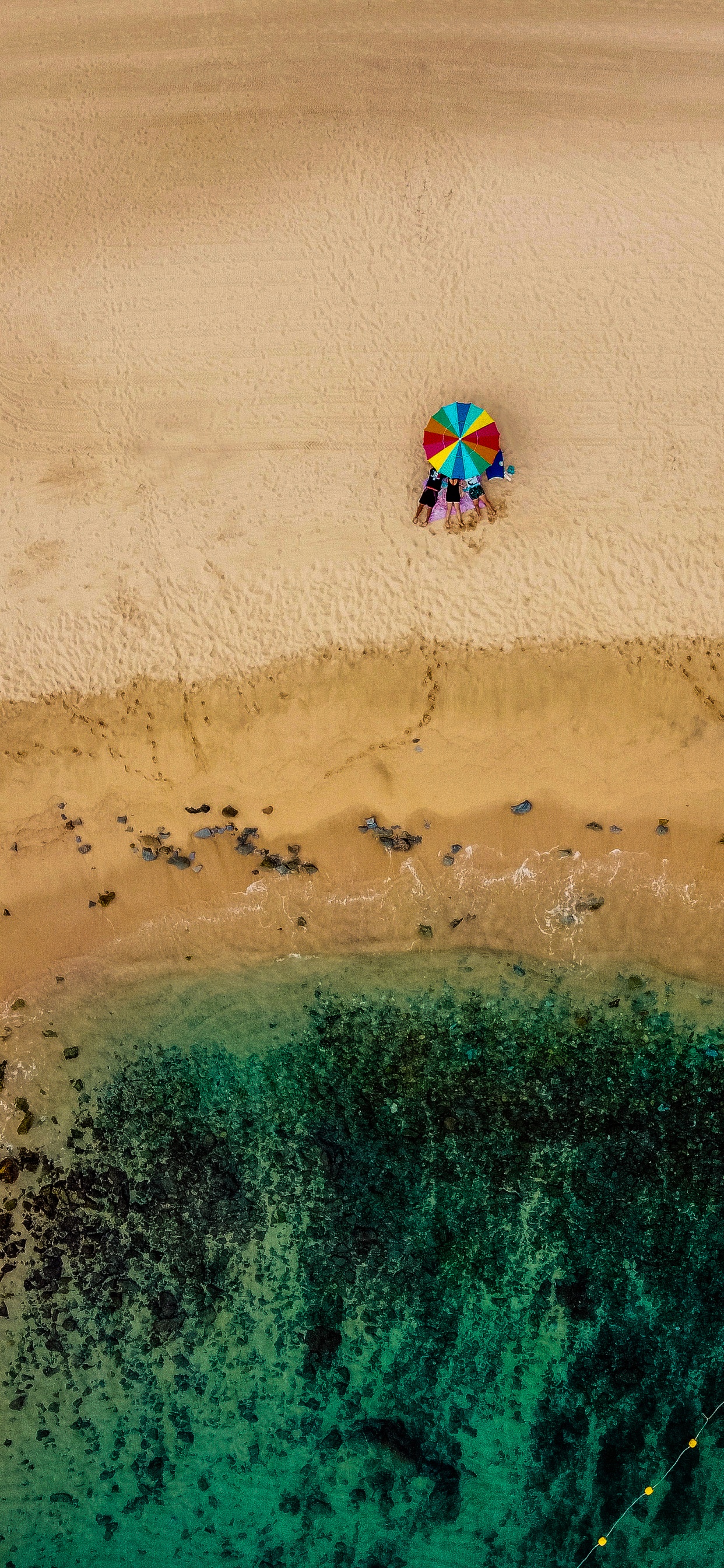 Обои песок, вода, экорегион, пляж, арт в разрешении 1242x2688