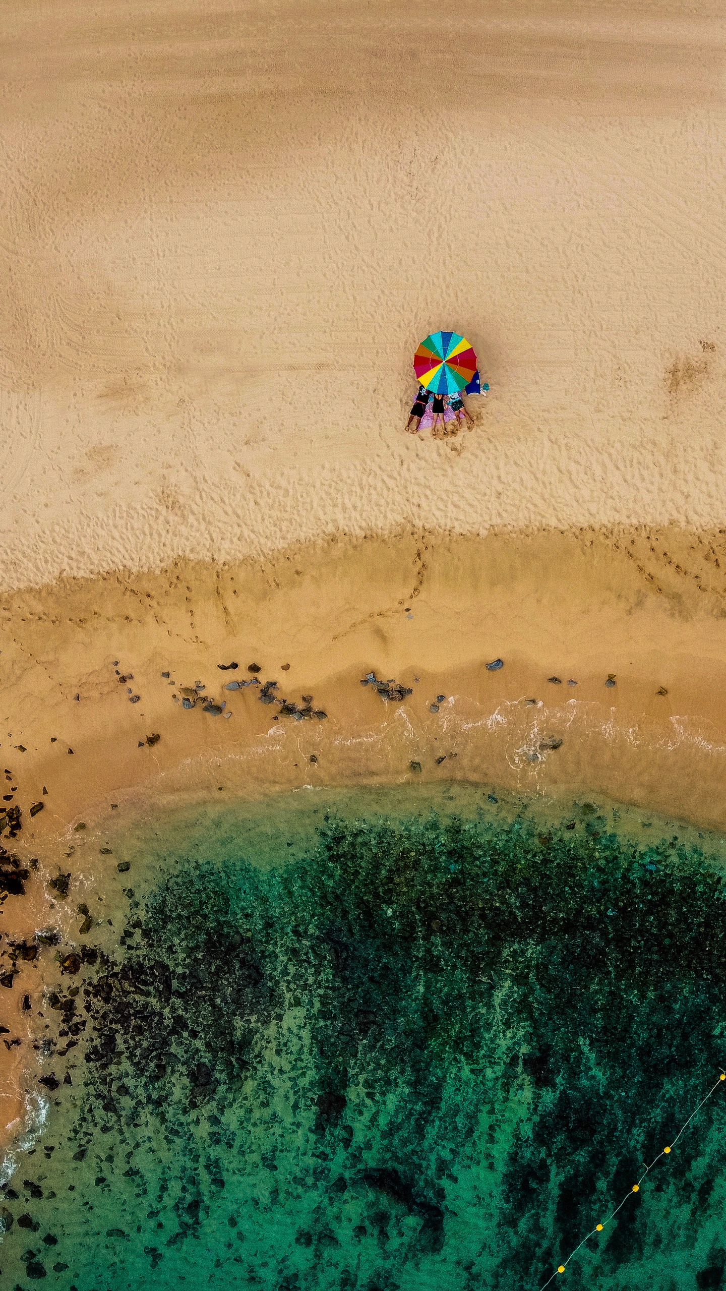 Обои песок, вода, экорегион, пляж, арт в разрешении 1440x2560