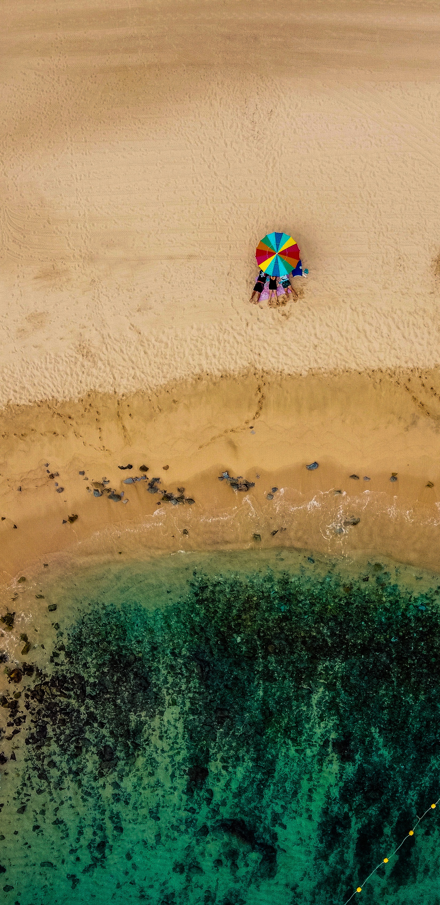 Обои песок, вода, экорегион, пляж, арт в разрешении 1440x2960