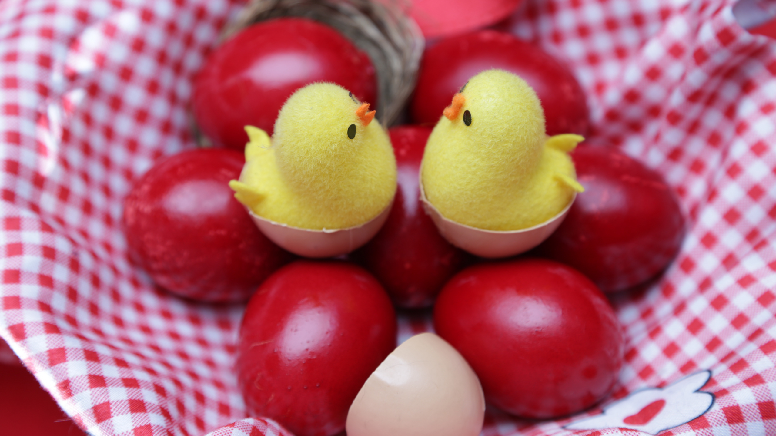 Обои пасхальное яйцо, яйцо, пища, фрукты, Маринованные яйца в разрешении 2560x1440