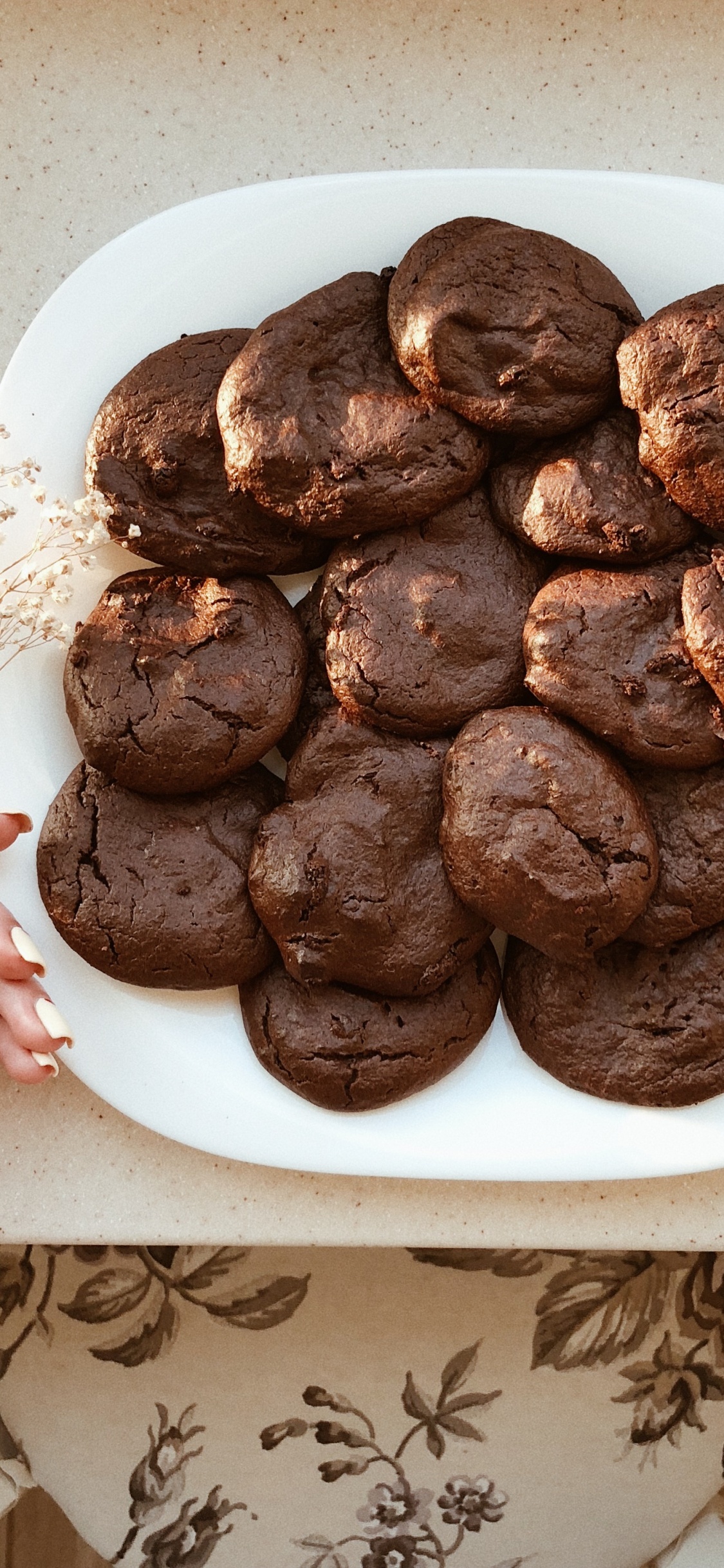 Обои печенье и сухари, шоколадный брауни, выдумка, выпечка, lebkuchen в разрешении 1125x2436