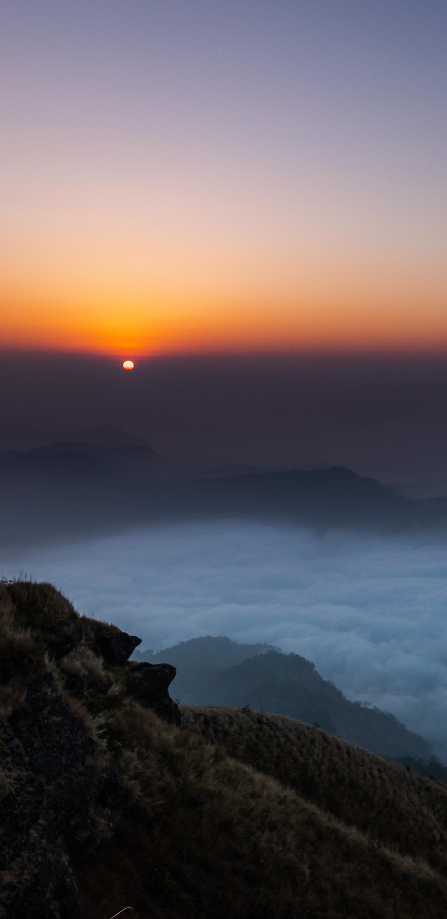 Обои природа, горизонт, восход солнца, облако, утро в разрешении 1440x2960