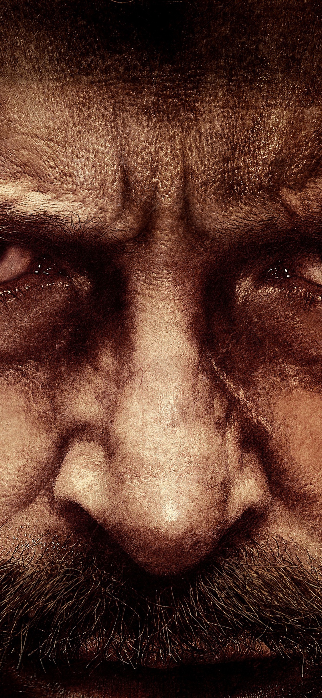 Обои Росомаха, портрет, человек, глаз, волосы на лице в разрешении 1125x2436