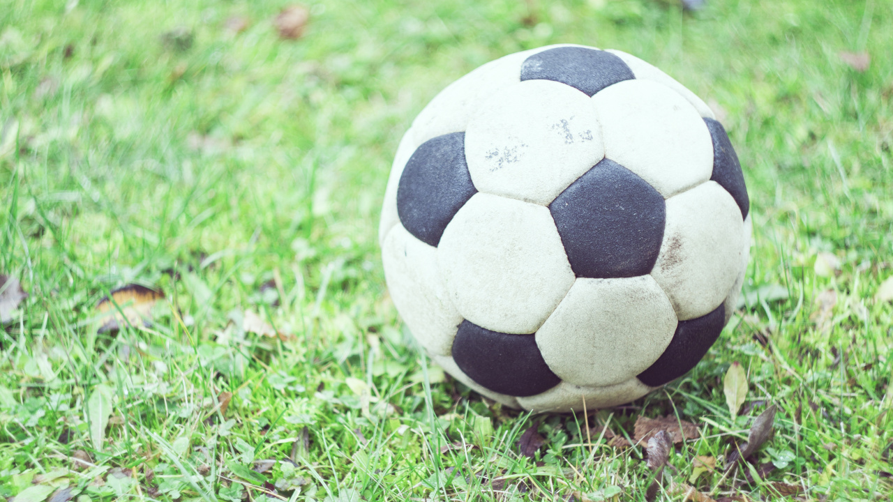 Обои мяч, футбол, цель, футбольный мяч, палоун в разрешении 1280x720